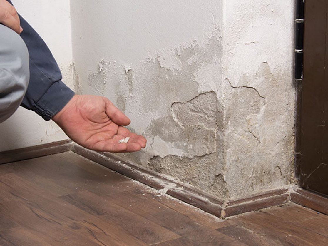 K Libois Traitement Des Bois A Plourin Pres De Brest TM Img 6